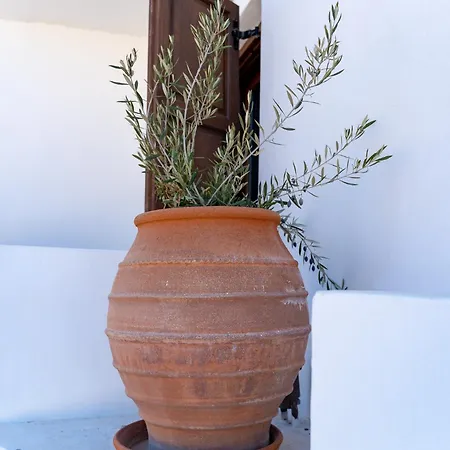 Διαμέρισμα Theoxenia Kasos Luxury *