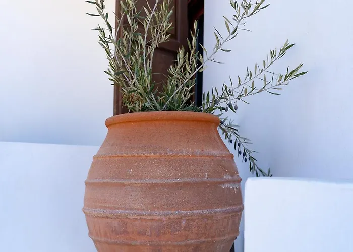 Apartament Theoxenia Kasos Luxury *